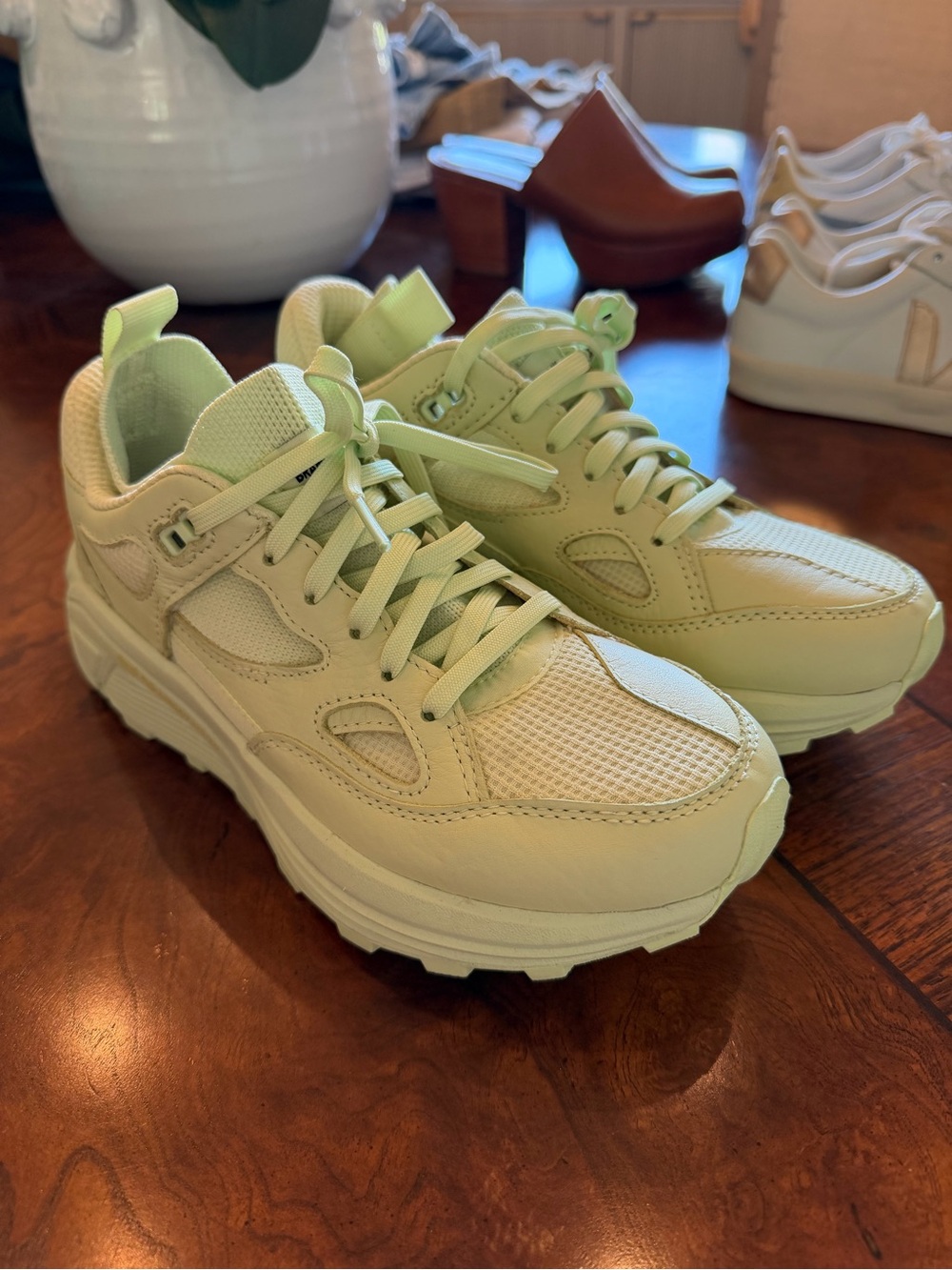 Brandblack Chunky Trainer Sneakers in Light Green